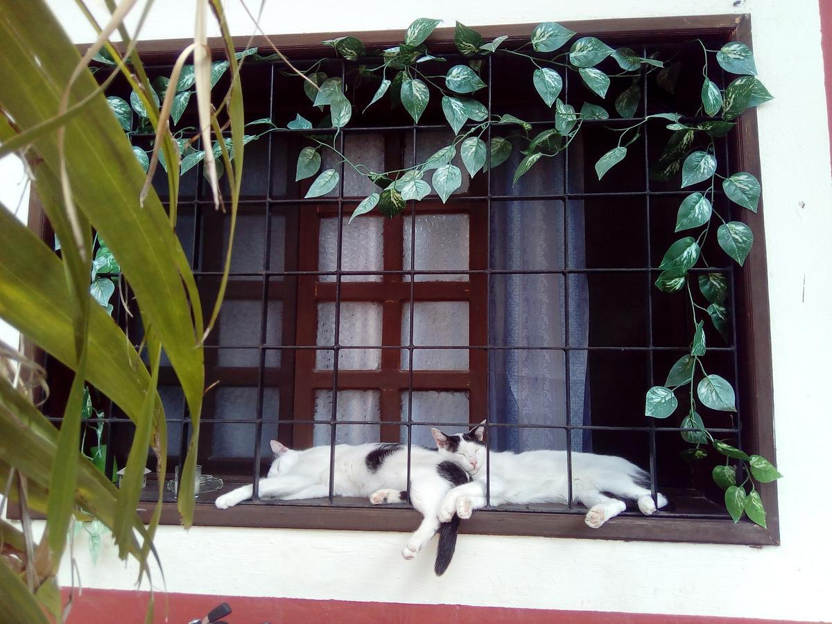 Casa Mazejuwi Hotel Campeche Exterior foto